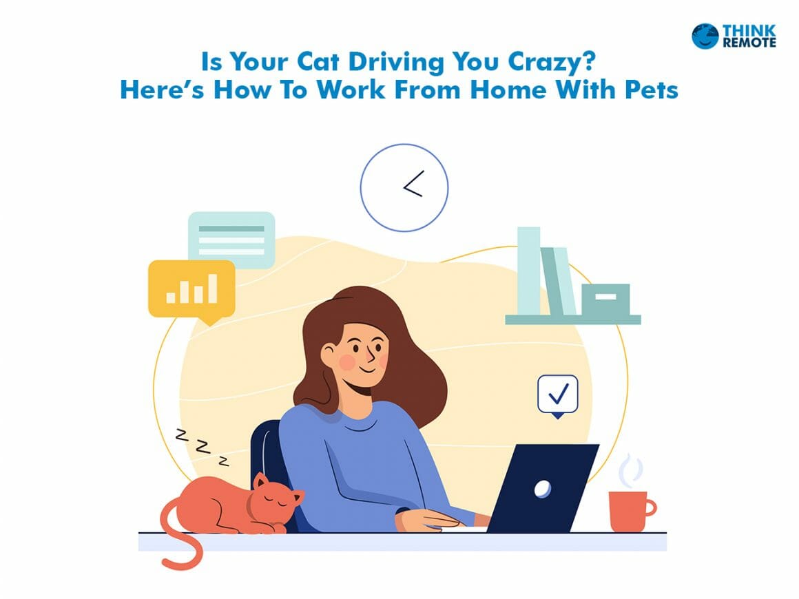 Work from home pets